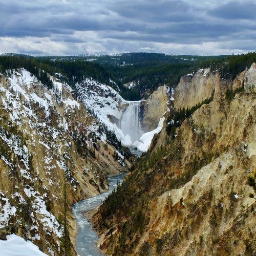 An American Sketch | David Tymm